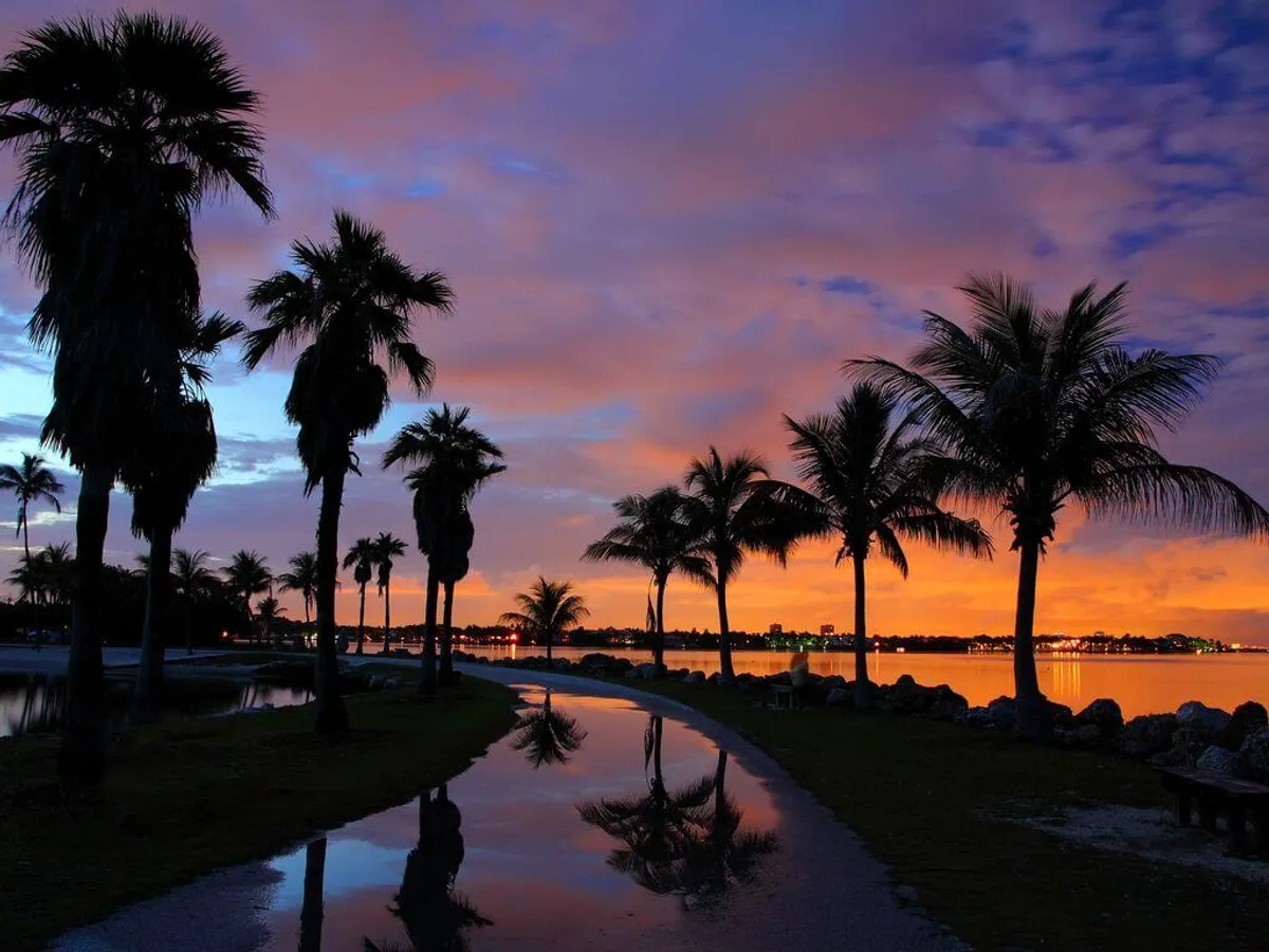 A tranquil waterway is framed by silhouetted palm trees at sunset, with a reflective pathway leading the eye toward distant city lights. The colorful sky and peaceful scene capture the natural serenity and beauty that define Miami's outdoor experiences.